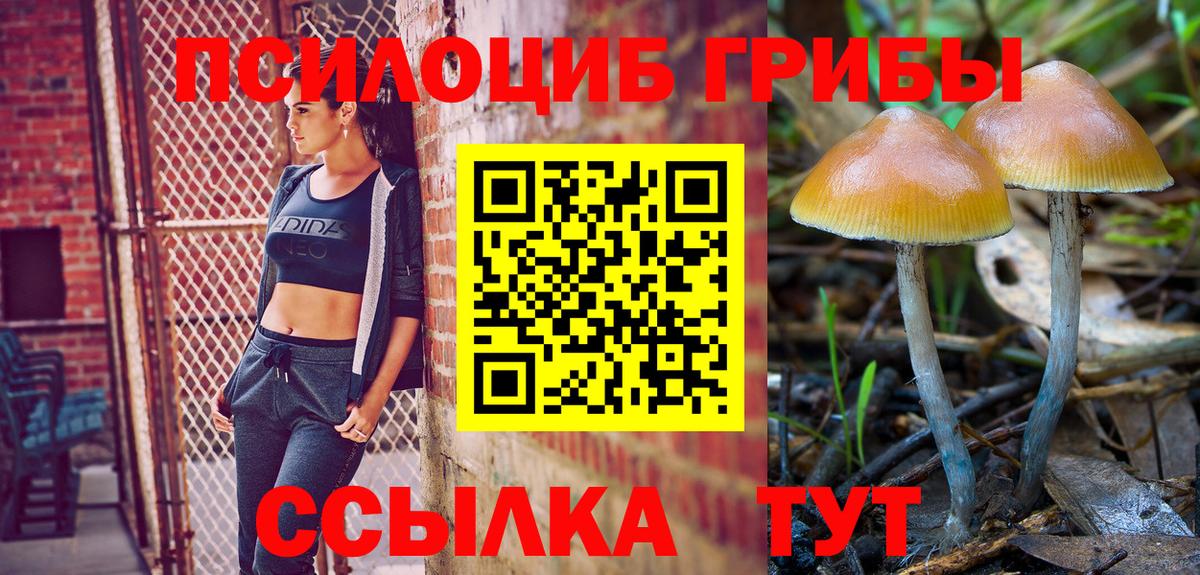 Галлюциногенные грибы ЛСД Волгоград